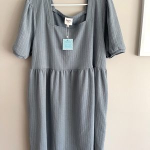 Hayden Los Angeles Boutique Baby Doll Dress